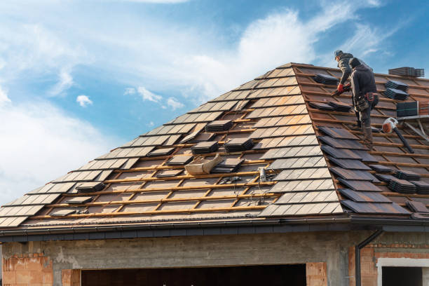 Siding in Shady Hills, FL